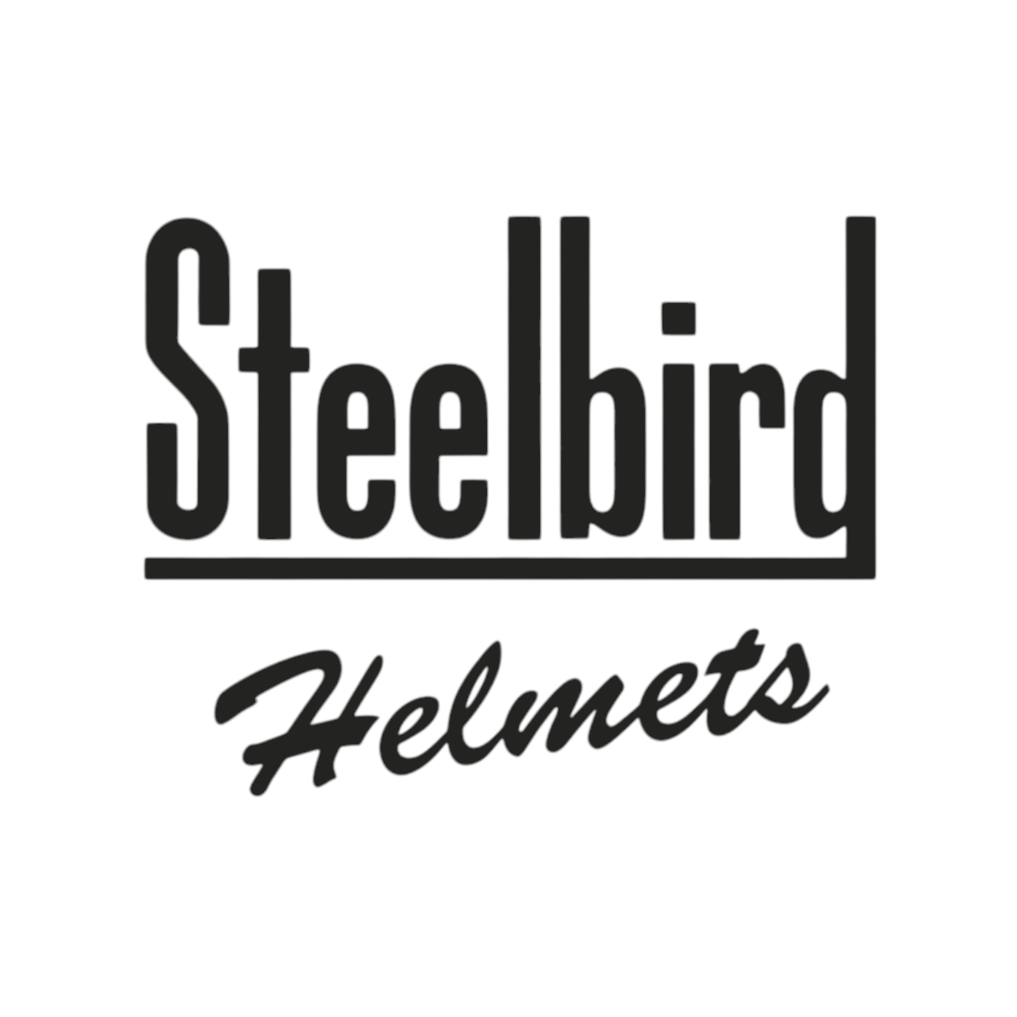 Steelbird logo